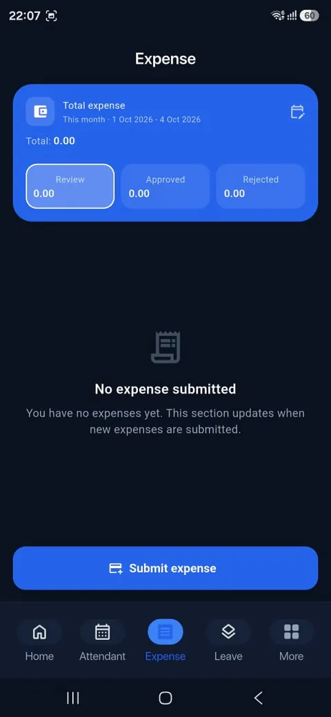 Expenses summary