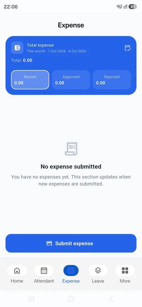 Expenses summary